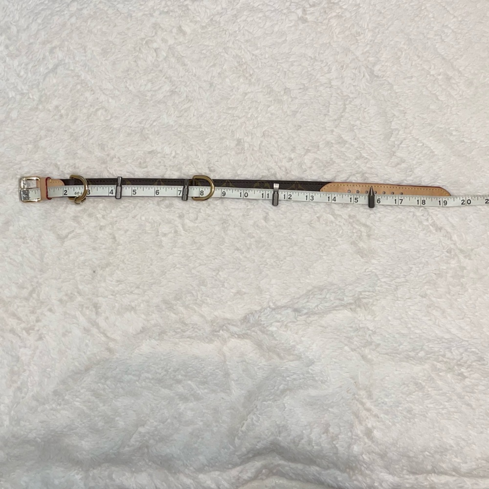 Louis Vuitton Dog Collar Medium - Picture 10 of 16
